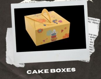 CAKE-Boxes