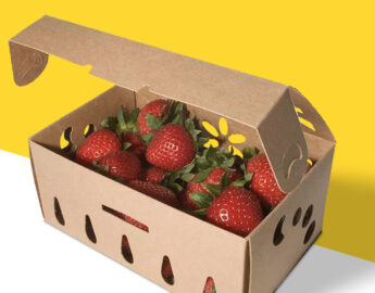 chocolate-covered-strawberries-packaging-ideas